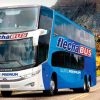 Flechabus Suite Premium Bus