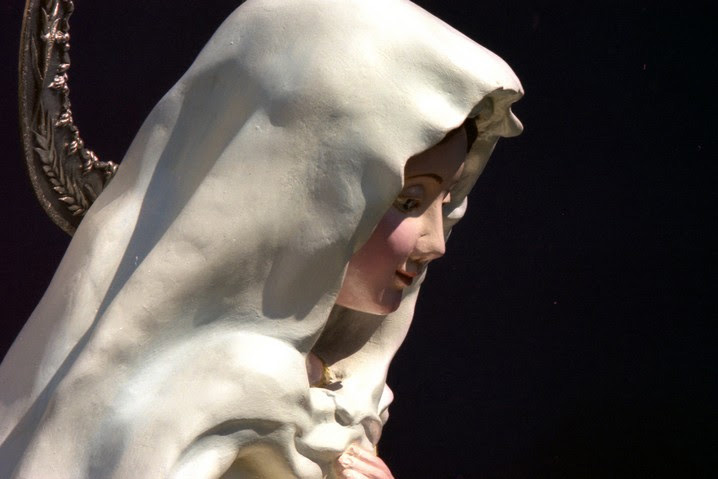Santísima e Inmaculada Virgen María del Cerro de Salta F1