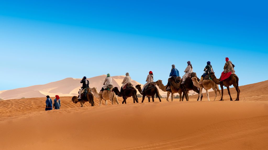 Caravana de camellos paseando por las dunas del Desierto del Sahara 1440px